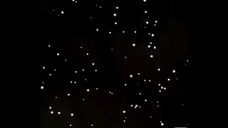 Hot sex scene